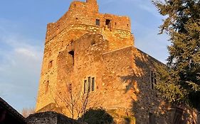 Burg Hermannstein - Monks Room